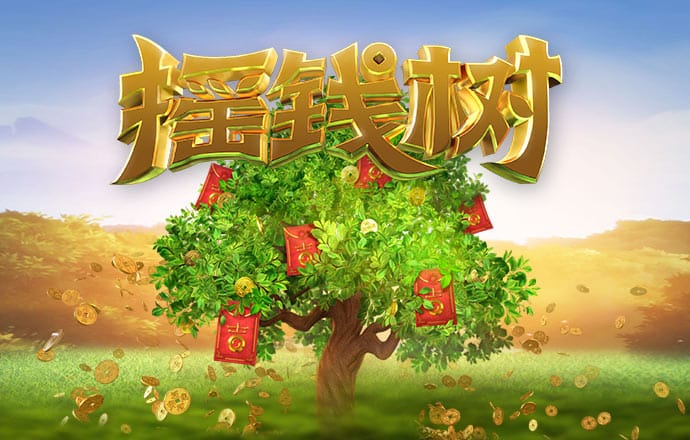高云体育官网