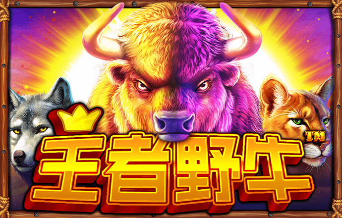江南电竞网页版登录